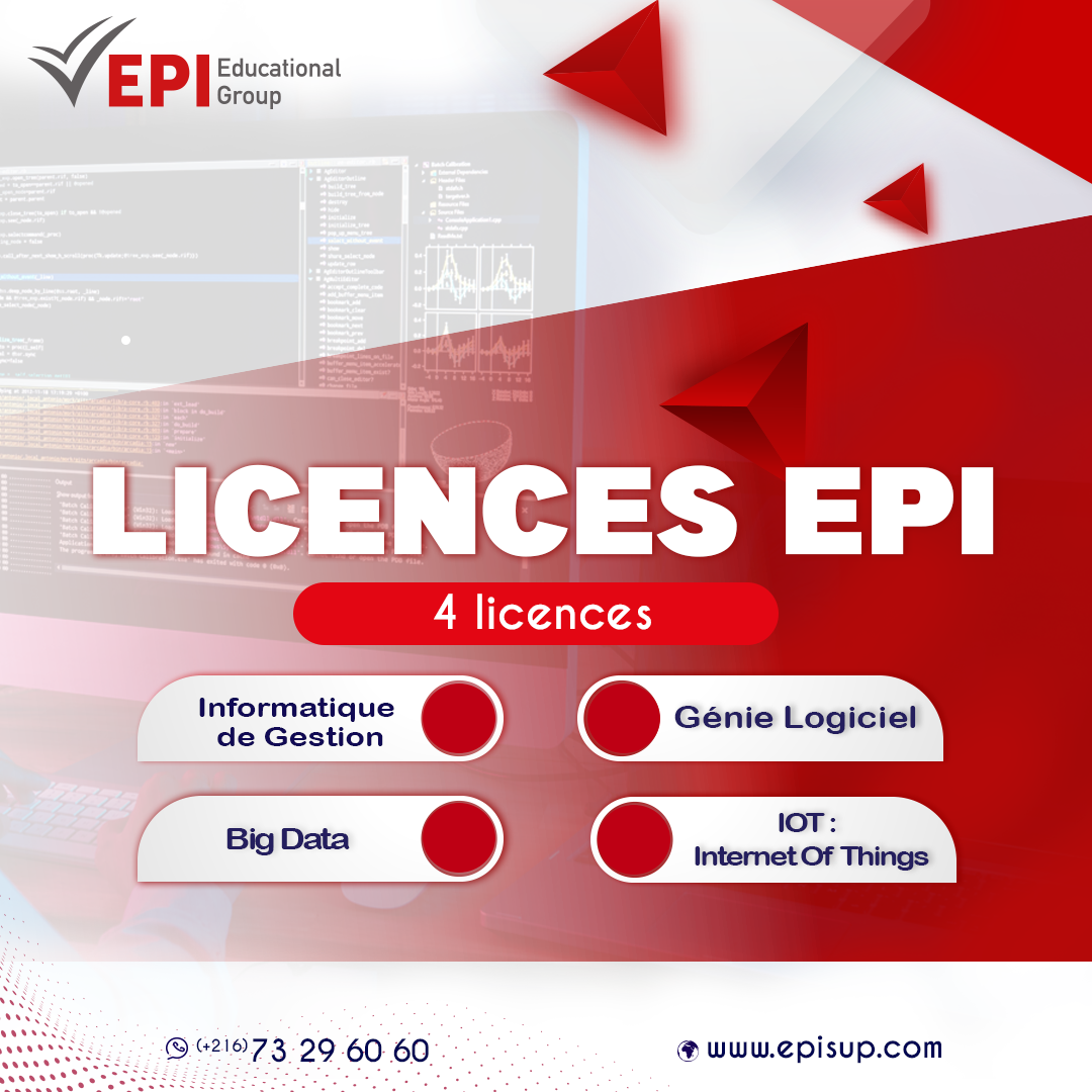 Licences en informatique